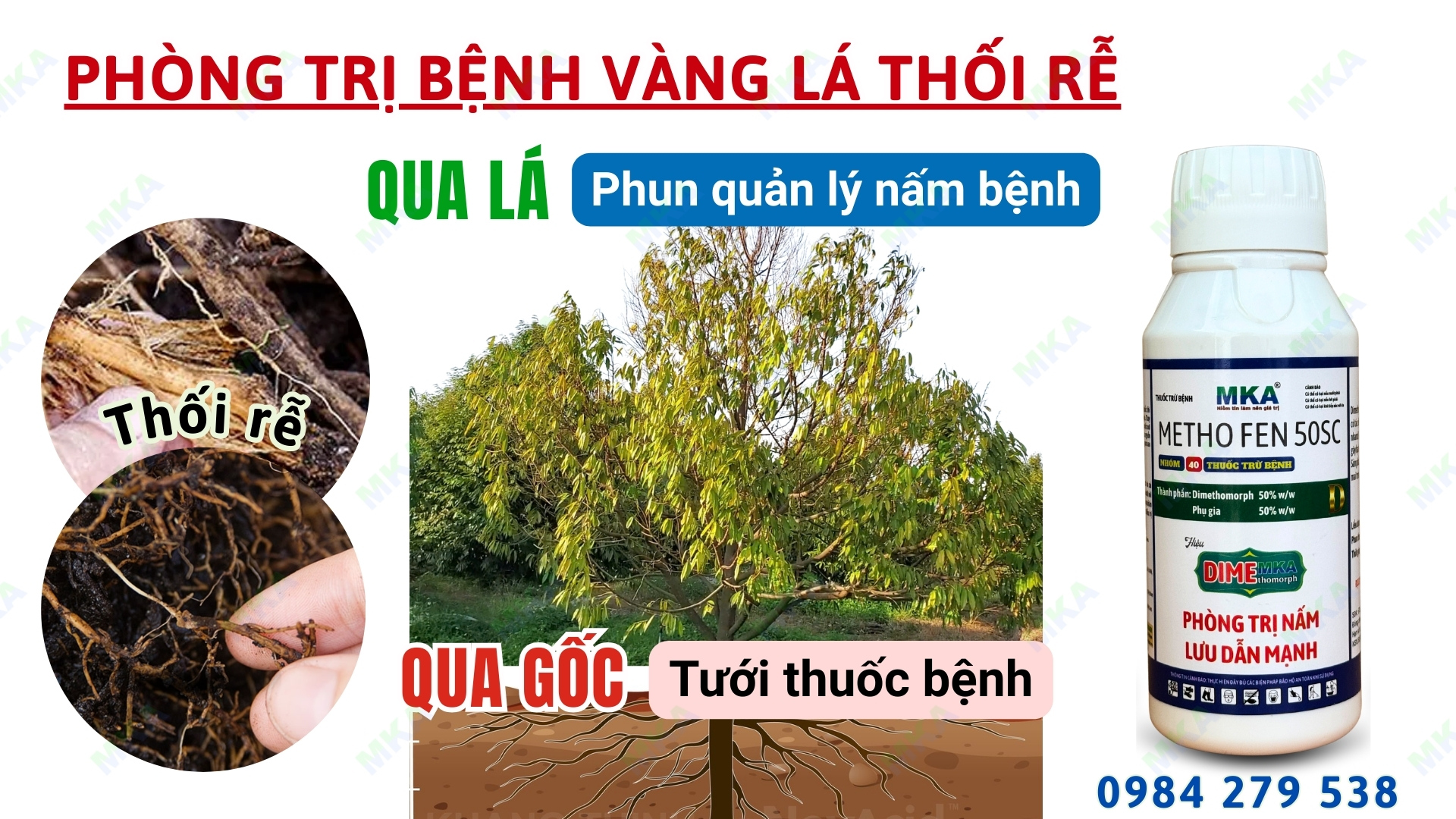 thuốc trừ bệnh Dime MKA hoạt chất dimethomorph